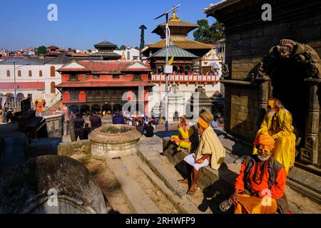 Nepal, Kathmandu valley, Hindu Temple of Pashupatinath dedicated to Shiva, sadhu Stock Photo