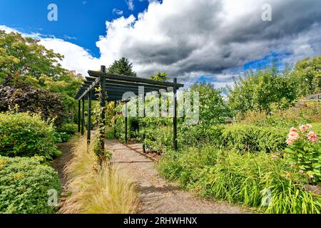 Inverness Botanic Gardens pergola with grasses and apple trees in summer Stock Photo