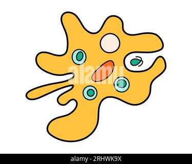 Amoeba proteus science icon with nucleus, vacuole, contractile. Biology education laboratory cartoon protozoa organism. Bold bright unicellular Stock Vector