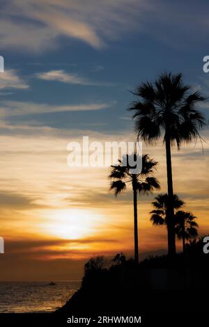 Sunset over sea.  Palm trees.  Marbella, Costa del Sol, Malaga Province, Andalusia, southern Spain. Stock Photo