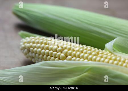 a close up of freshly picked sweet corn on a wooden table Stock Photo