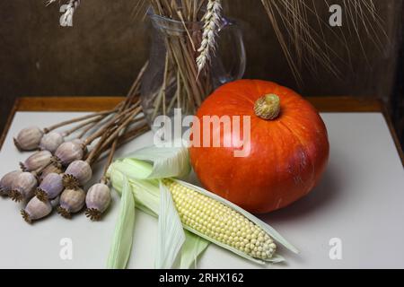 a still life with pumpkin, sweet corns, poppies and ears of oats Stock Photo