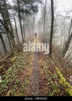 Woman Walks Across Narrow Ridge on Foggy Day in the Smokies Stock Photo