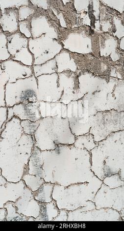 white crackled background Stock Photo