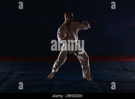 Attractive Young Women in a Karate Pose Stock Photo - Image of attack,  hobby: 60408890
