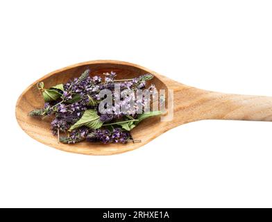 Dried green Peppermint (Mentha piperita) blossoms on wooden spoon, herbal tea ingredient, isolated on white. Stock Photo