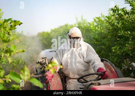 Anonymous farmer wearing protective suit and mask spraying pesticide and insecticide on lemon trees while driving tractor at organic agricultural farm Stock Photo