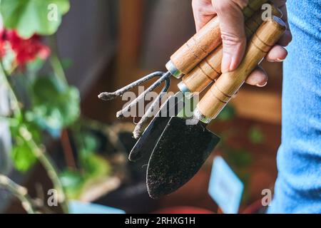 Crop anonymous person in blue jeans standing while holding garden fork and spade near blur green plants in garden at daylight Stock Photo