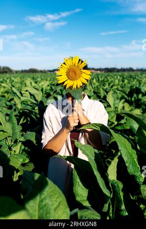 Unrecognizable woman holding beautiful sunflower in front of face while standing amidst lush green plants growing in farm against sky during summer Stock Photo