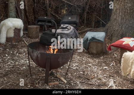 Fire pit with a black kettle on the flames surrounded by tree stumps used as seats Stock Photo