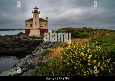 With coastal bush lupines (Lupinus arboreus) in the foreground, the Coquille River Lighthouse, located at the mouth of the Coquille River in Bandon,OR Stock Photo