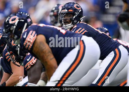 Chicago Bears quarterback P.J. Walker (15) drops back in the pocket during  an NFL football game against the Indianapolis Colts, Saturday, Aug. 19,  2023, in Indianapolis. (AP Photo/Zach Bolinger Stock Photo - Alamy