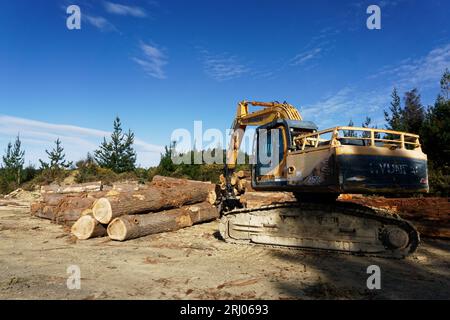 Tasman region, Aotearoa / New Zealand - August 12, 2023: A timber mill operation in a plantation forest milling blue gum tree logs into planks. Stock Photo