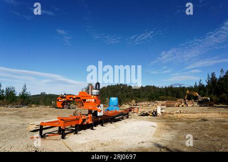 Tasman region, Aotearoa / New Zealand - August 12, 2023: A timber mill operation in a plantation forest milling blue gum tree logs into planks. Stock Photo