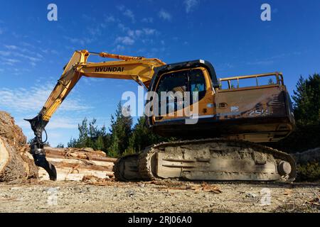 Tasman region, Aotearoa / New Zealand - August 12, 2023: A timber mill operation in a plantation forest milling blue gum tree logs into planks. Stock Photo