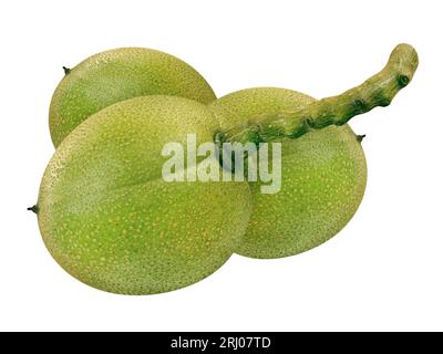 3 Walnuts isolated on white background Stock Photo