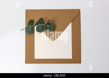 a brown envelope with a blank note card and green leaves on a white backgroun Stock Photo