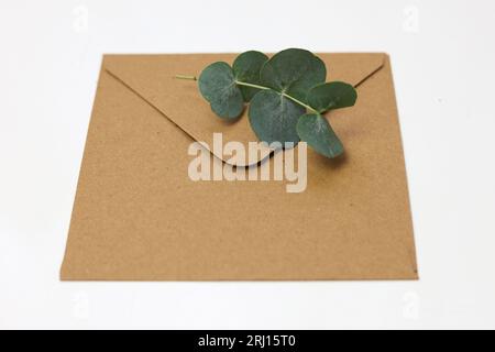 a brown envelope with a blank note card and green leaves on a white backgroun Stock Photo