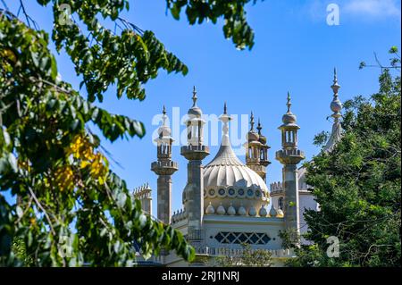 Brighton UK 20th August 2023 - Crowds enjoy the hot sunny weather in Brighton's Royal Pavilion Gardens as the South Coast enjoys the first nice weekend for a while  : Credit Simon Dack / Alamy Live News Stock Photo