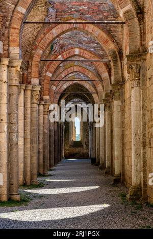 Scenic perspective from the San Galgano Abbey, near Chiusdino, Province of Pisa, Tuscany, Italy. Stock Photo