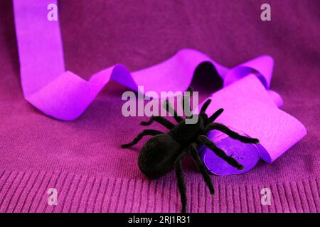 Spider on purple decorative paper tape Stock Photo