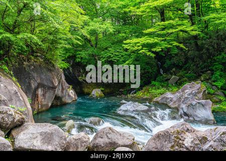 Scenic sight in the famous Kanmangafuchi Abyss in Nikko. Tochigi Prefecture, Japan. Stock Photo