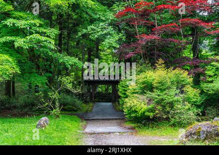 Scenic sight in the famous Kanmangafuchi Abyss in Nikko. Tochigi Prefecture, Japan. Stock Photo