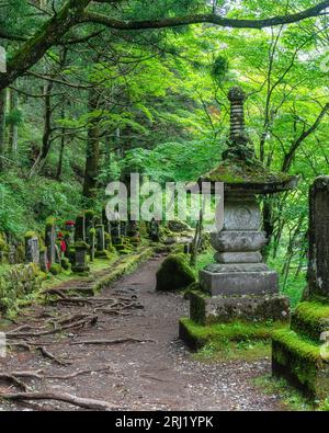 Scenic sight in the famous Kanmangafuchi Abyss in Nikko. Tochigi Prefecture, Japan. Stock Photo