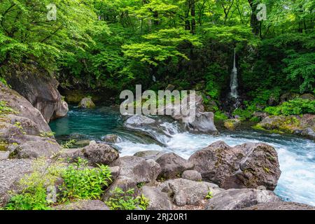 Scenic sight in the famous Kanmangafuchi Abyss in Nikko. Tochigi Prefecture, Japan. Stock Photo