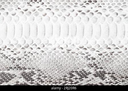 scaly texture of leather background, luxury python skin Stock Photo