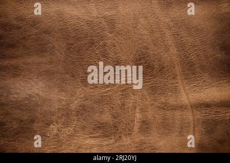 brown leather texture, skin surface as dark background Stock Photo