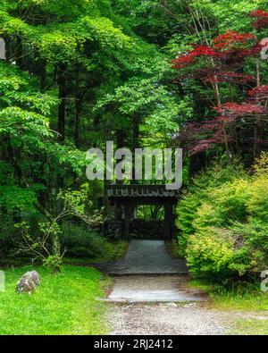 Scenic sight in the famous Kanmangafuchi Abyss in Nikko. Tochigi Prefecture, Japan. Stock Photo