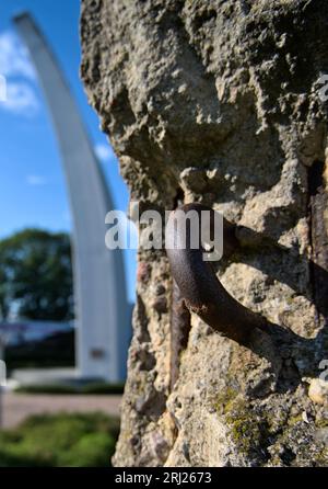 A piece of the Berlin Wall at the Airlift Monument in Frankfurt am Main Stock Photo