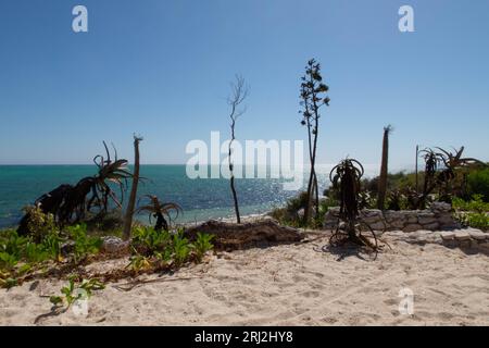 Beach in Madagascar shot durind daytime Stock Photo