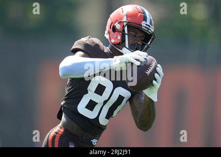 Austin Watkins Jr., NFL Preseason Leading Receiver