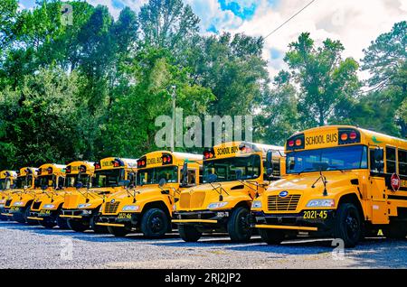 School buses are lined up outside of Tanner Williams Elementary School, Aug. 16, 2023, in Wilmer, Alabama. Stock Photo