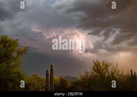 Monsoon storm with lightning in the sonoran desert at sunset Stock Photo