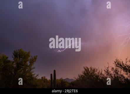 Lightning in the sonoran desert and colorful clouds at sunset Stock Photo