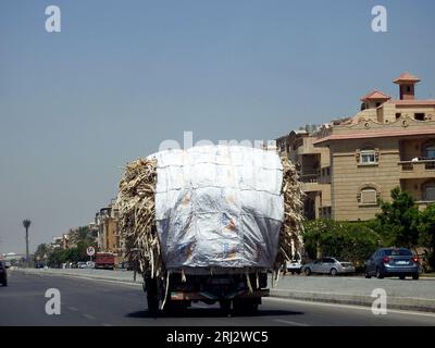 Cairo, Egypt, July 29 2023: Transporting sugarcane wastes such as bagasse, molasses, cane trash, filter mud and vinasse that used in commercial produc Stock Photo