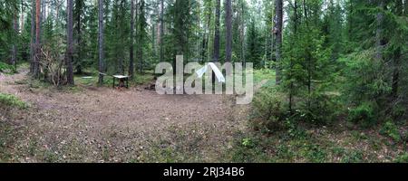 hiking camp on a glade in a pine forest, panorama Stock Photo