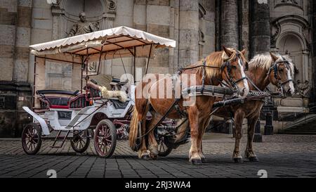 An image of a traditional horse-drawn carriage parked in front of an old-style building in Dresden Stock Photo