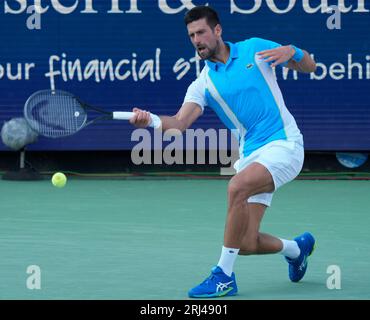 August 20, 2023: Novak Djokovic (SRB) defeated Carlos Alcaraz (ESP) 6-7, 7-6, 7-6, at the Western & Southern Open being played at Lindner Family Tennis Center in Mason, Ohio. © Leslie Billman/Tennisclix/CSM Stock Photo