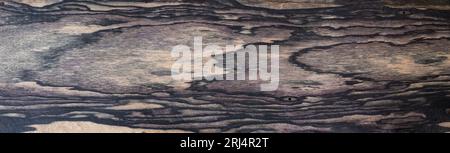 Black and White Ebony wood natural texture Stock Photo
