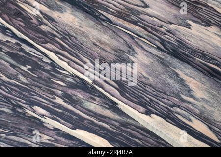 Black and White Ebony wood natural texture Stock Photo