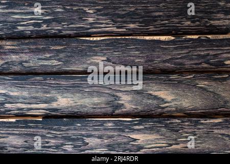 Black and White Ebony wood natural texture Stock Photo