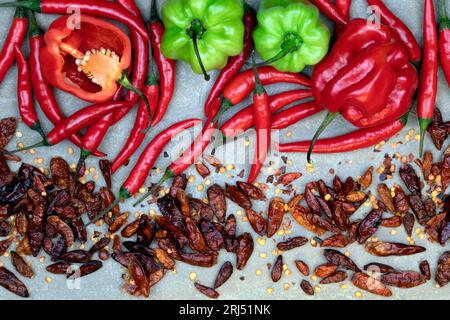 Fresh and dried chili peppers - hot and spicy Stock Photo