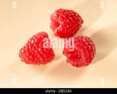 Three raspberries close-up on a pastel background with shadows. Stock Photo