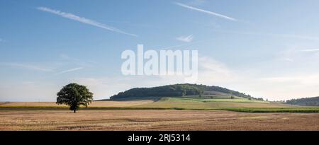 countryside landscape with fields and sunflowers near verdun in the north of france Stock Photo