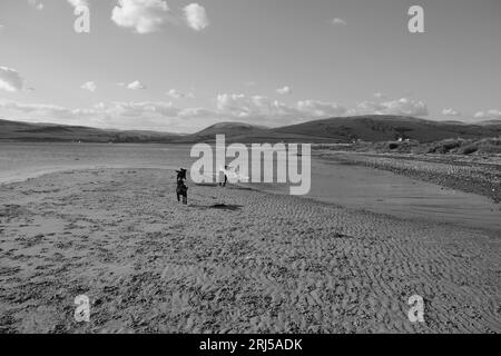 Dogs playing on a beach Stock Photo