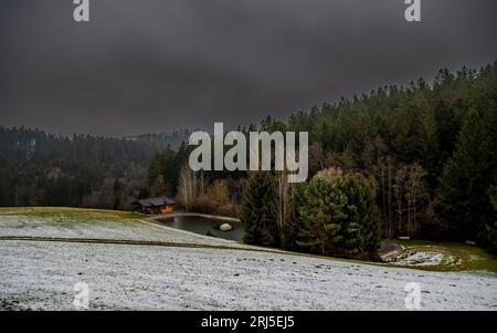 Winter Landscape With Cottage At Lake And Forest In Lower Austria (Waldviertel) In Austria Stock Photo